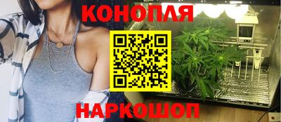 МДПВ Камышлов
