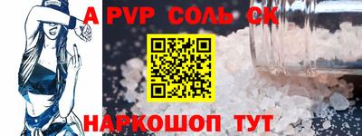 МДПВ Камышлов