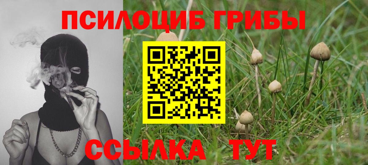 Псилоцибиновые грибы ЛСД  Вход с VPN  Псилоцибиновые грибы прущие грибы  Лабытнанги 